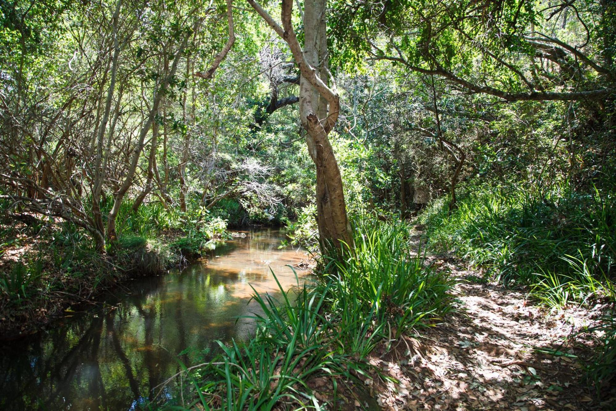 Blyde Canyon, A Forever Resort Matibidi Buitenkant foto
