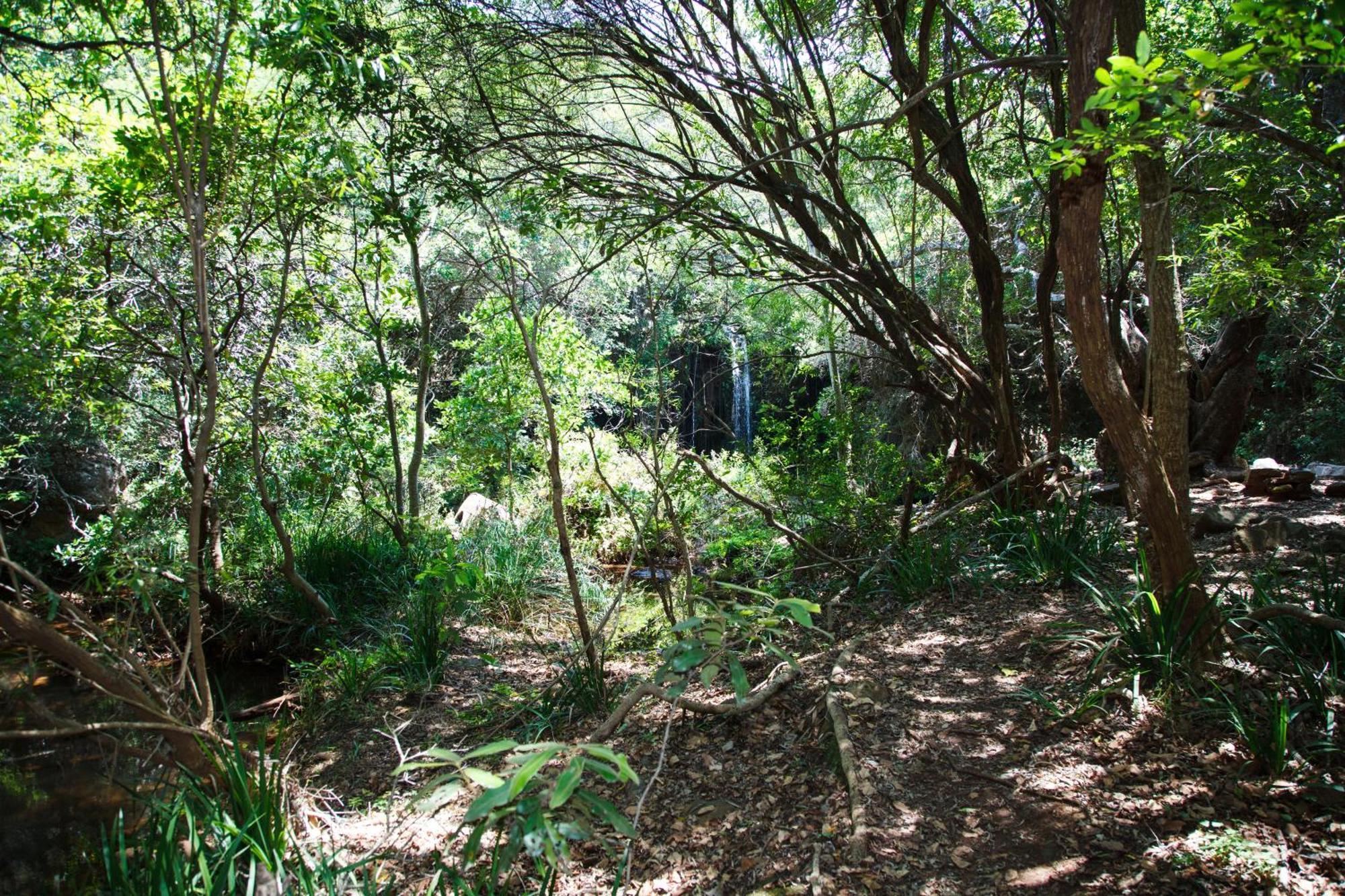 Blyde Canyon, A Forever Resort Matibidi Buitenkant foto