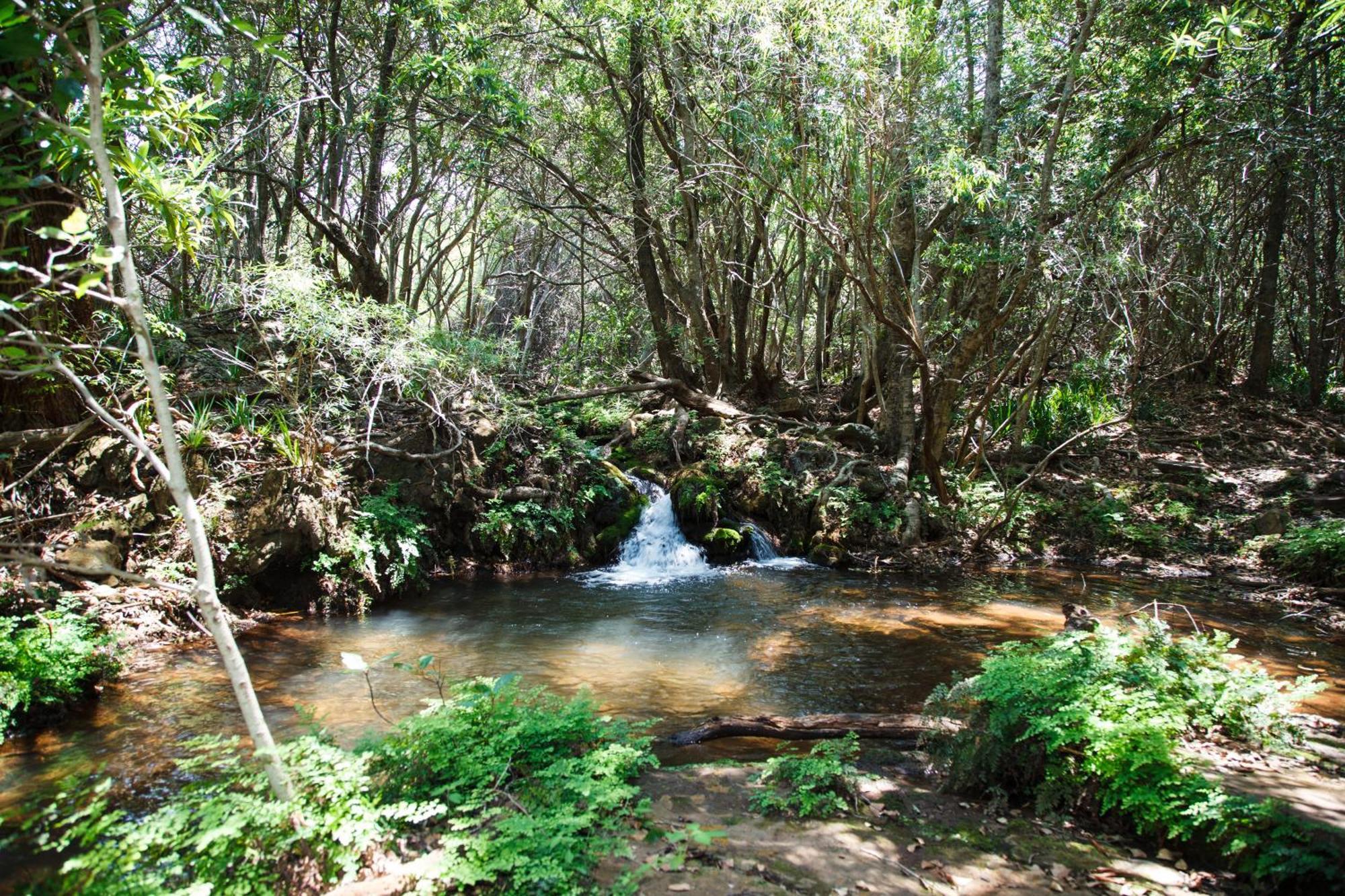 Blyde Canyon, A Forever Resort Matibidi Buitenkant foto